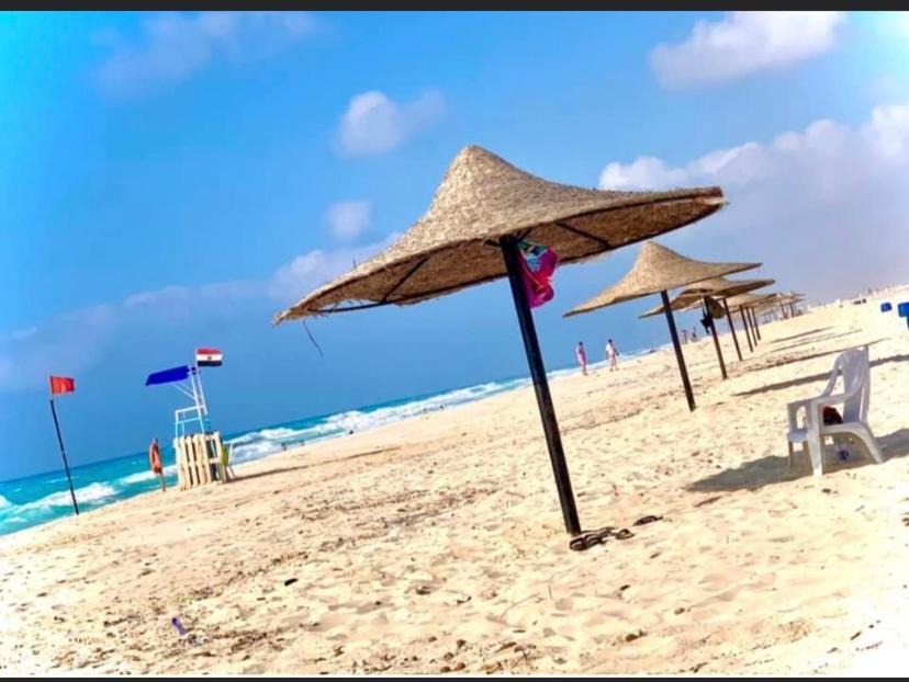 Photo of Others in Borg el Arab