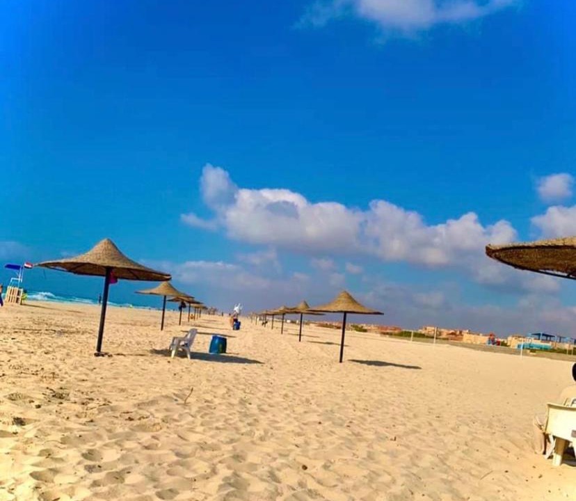 Photo of Others in Borg el Arab