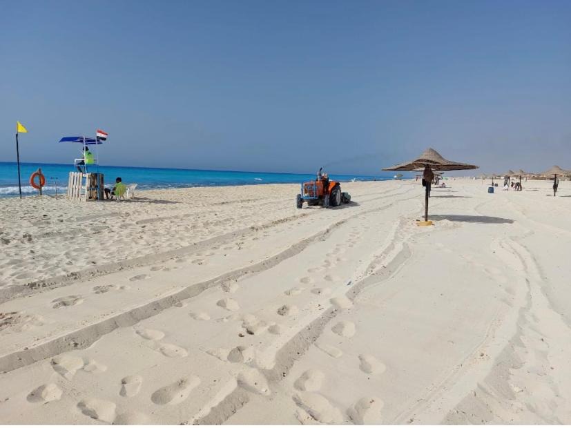 Photo of Others in Borg el Arab