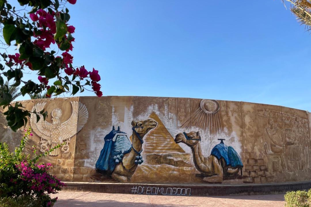 Photo of Others in Marsa Alam