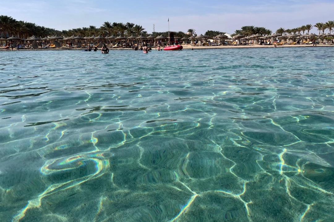 Photo of Others in Marsa Alam