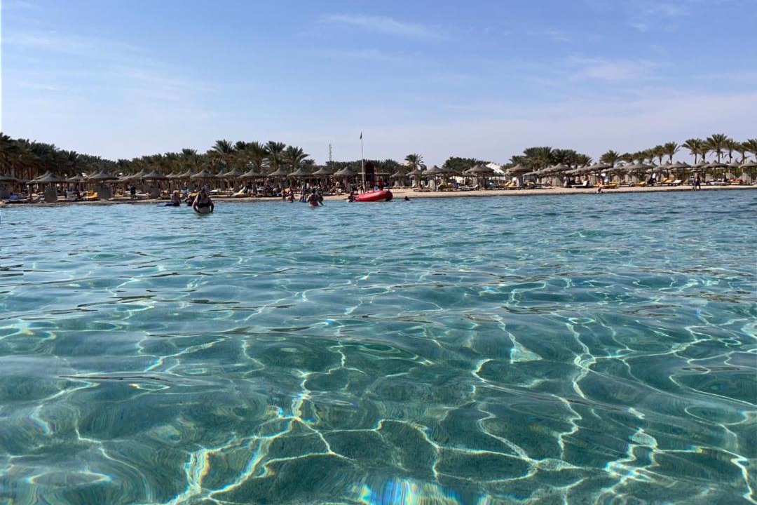 Photo of Others in Marsa Alam