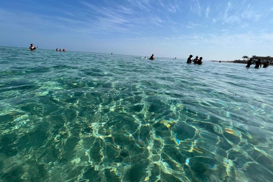 Photo of Others in Marsa Alam