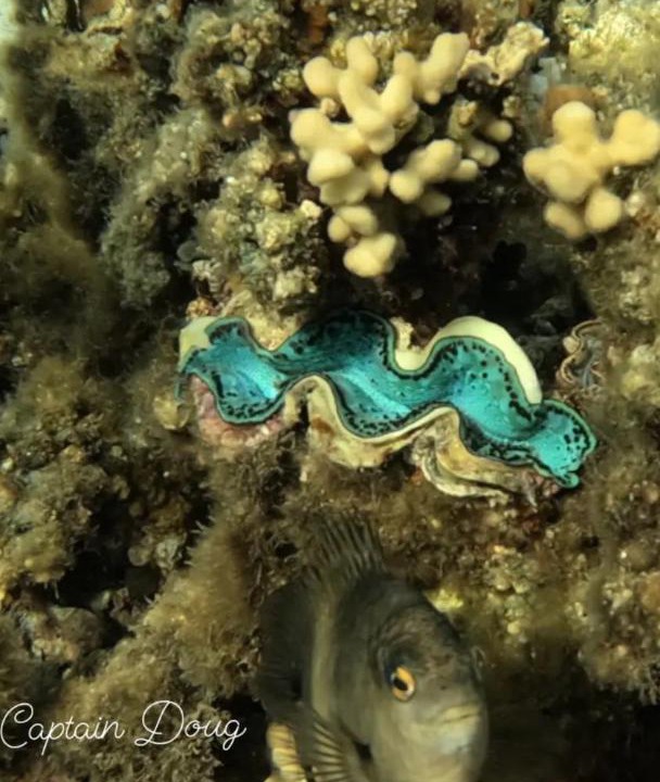 Photo of Others in Marsa Alam