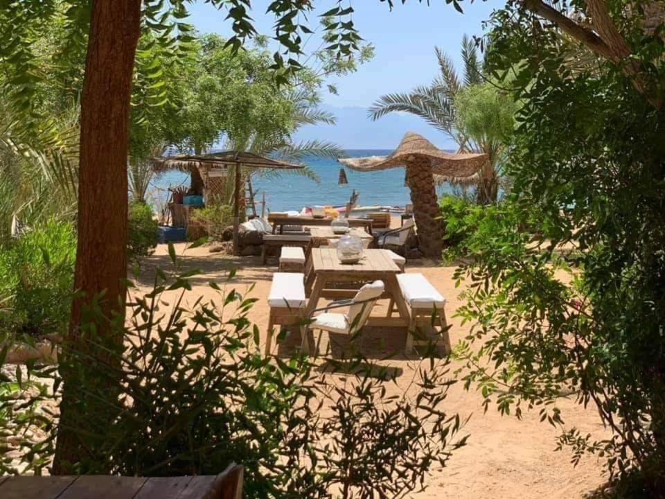 Photo of Others in Nuweiba