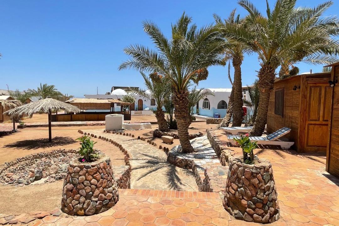 Photo of Others in Dahab