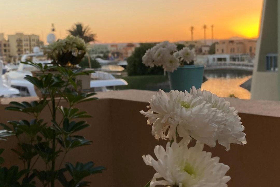 Photo of Others in El Gouna
