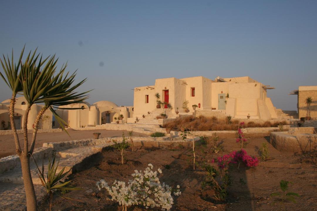 Photo of Others in Marsa Alam