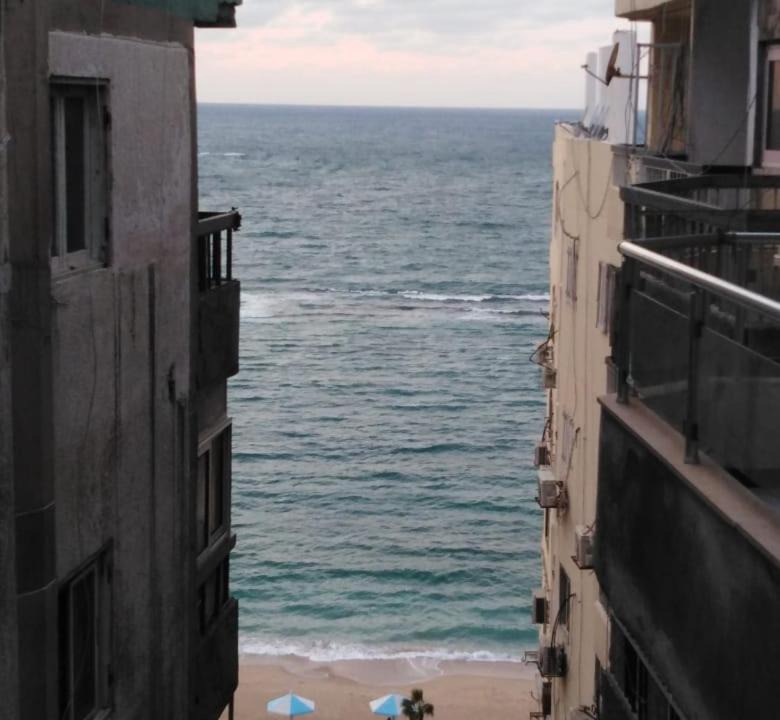 Photo of Others in Al-Muntazah