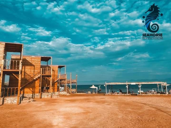 Photo of Others in Nuweiba