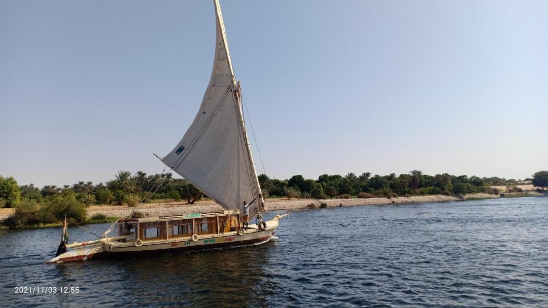 Photo of Others in Aswan