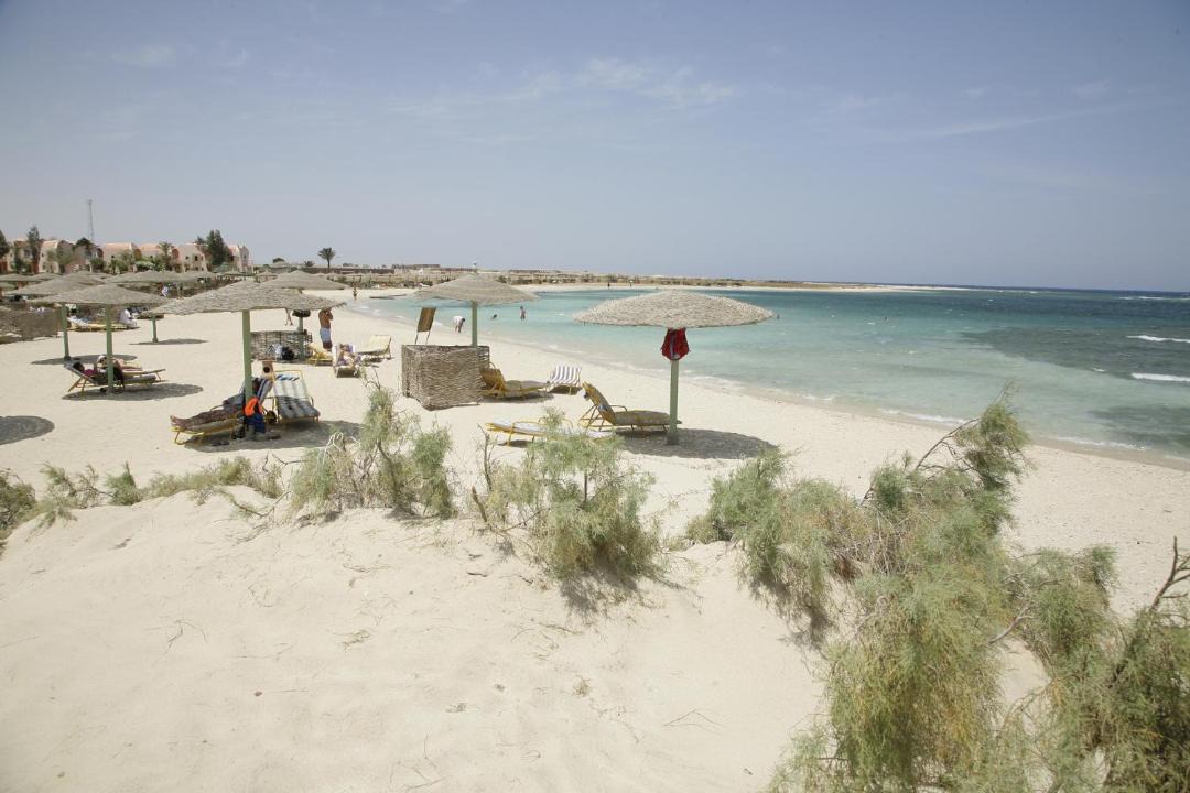 Photo of Others in Abu Ghusun