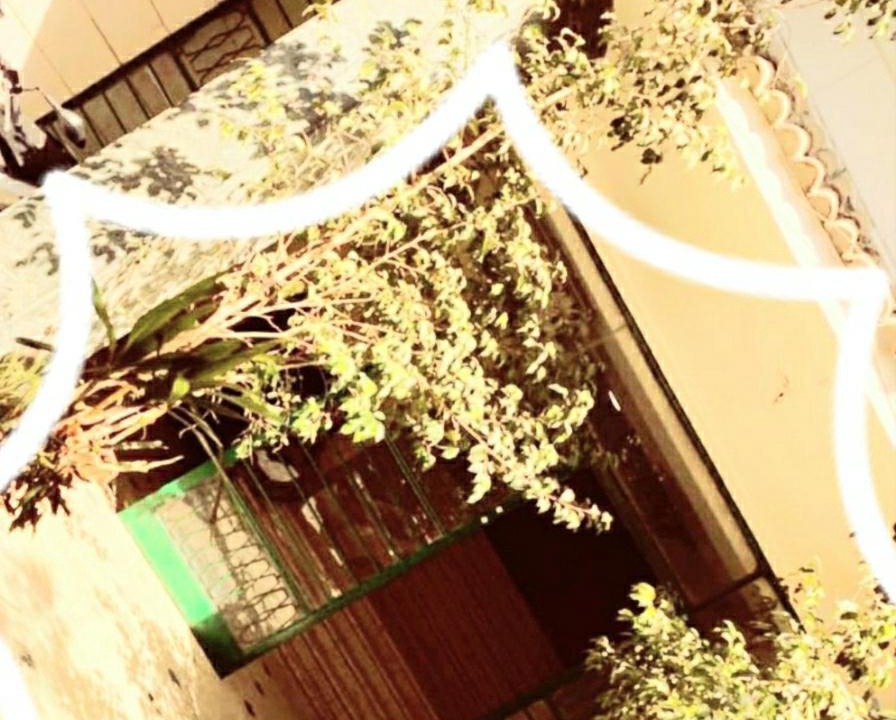Photo of Others in Zamalek