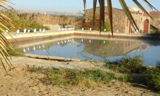 Photo of Others in Bawati