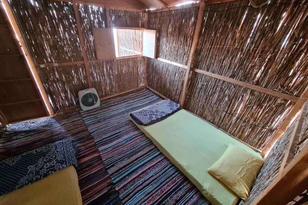 Photo of Others in Nuweiba