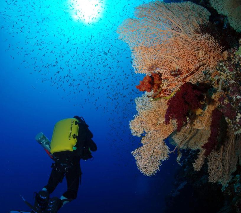 Photo of Others in Soma Bay