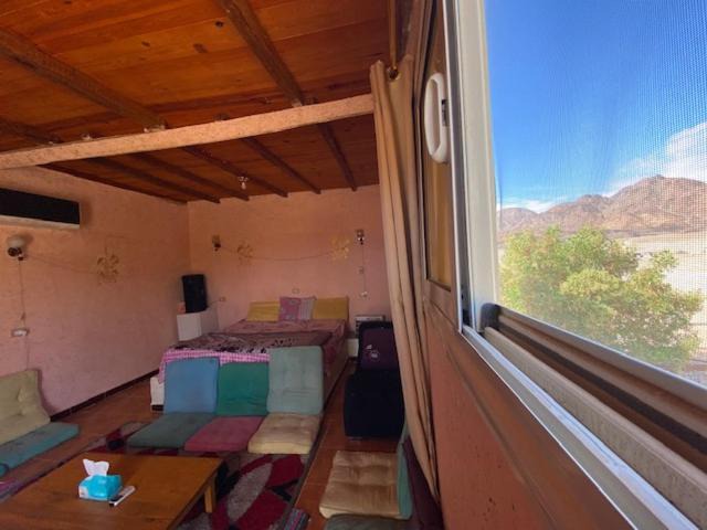 Photo of Others in Nuweiba