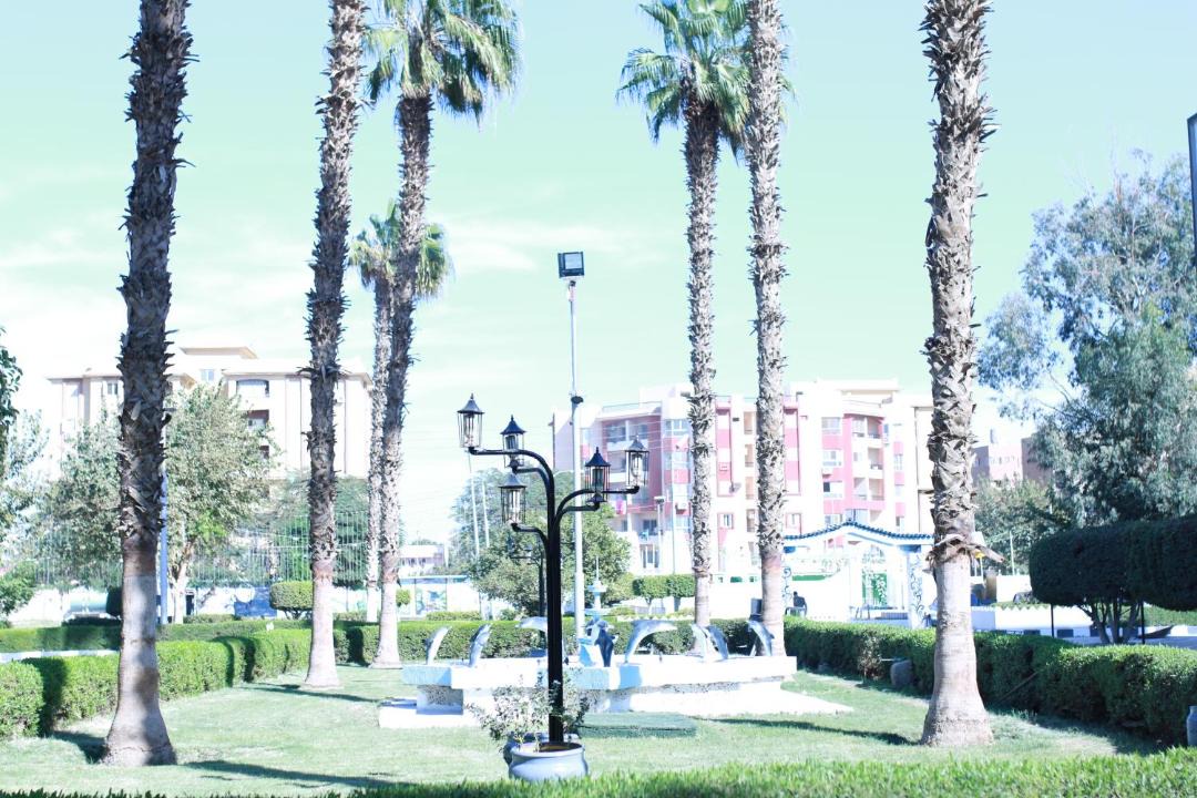 Photo of Others in Assiut