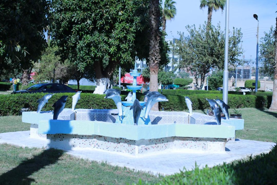 Photo of Others in Assiut