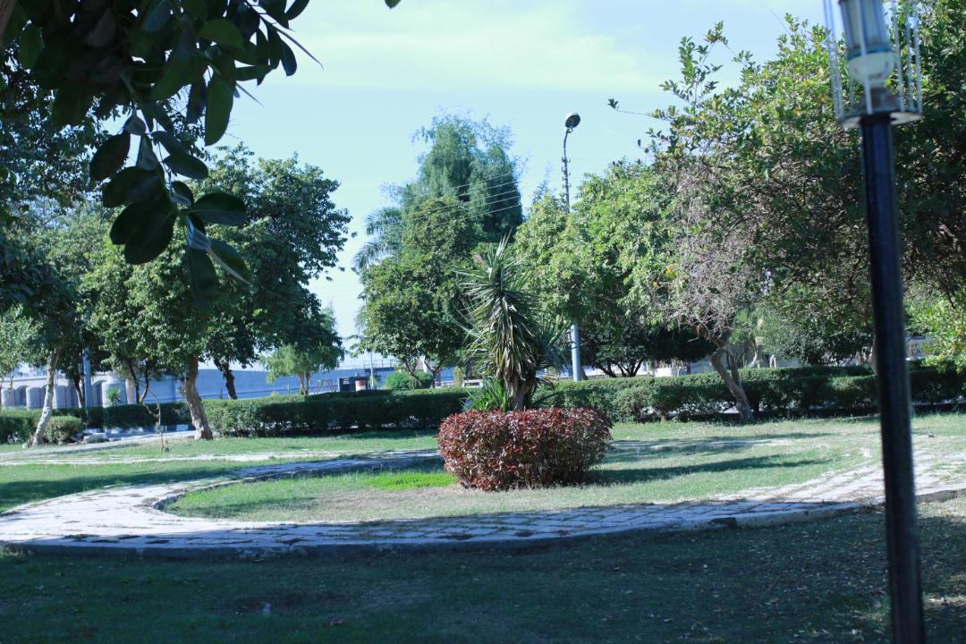 Photo of Others in Assiut