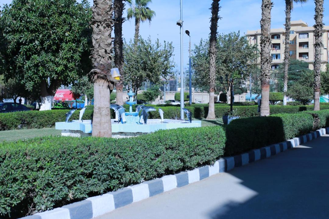 Photo of Others in Assiut