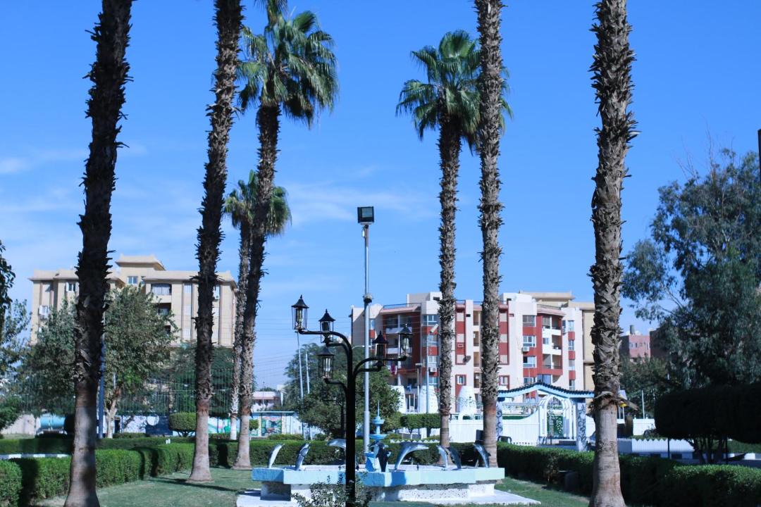 Photo of Others in Assiut