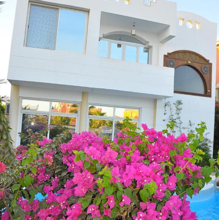 Photo of Others in Sharm El Sheikh