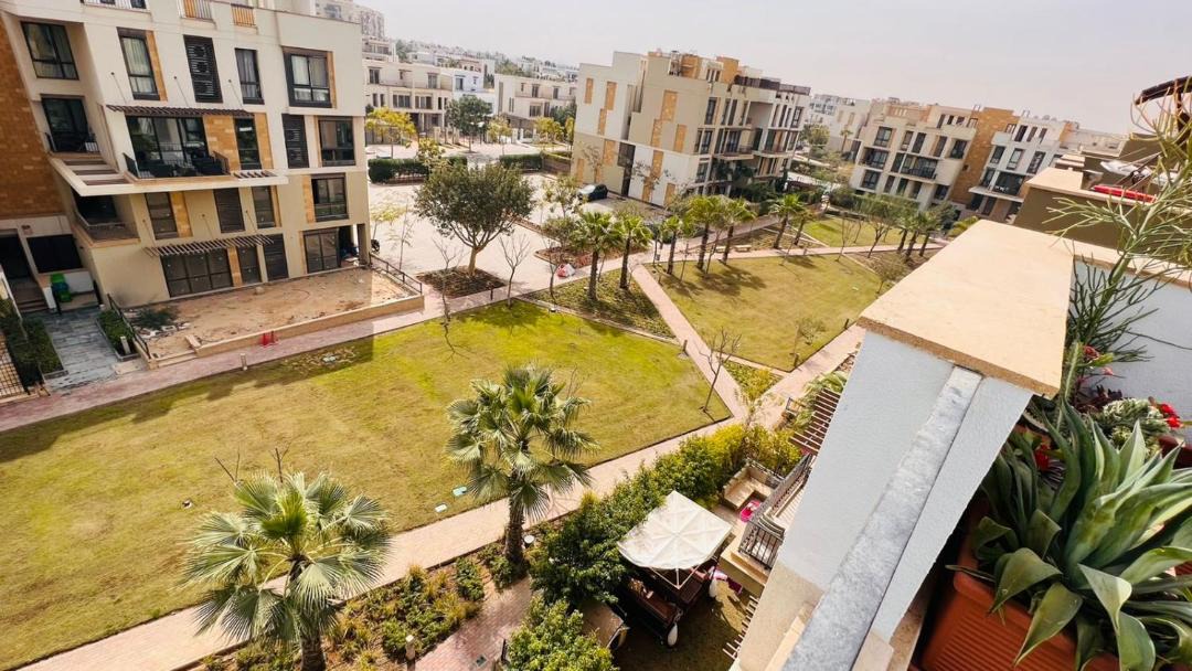 Photo of Others in Sheikh Zayed City