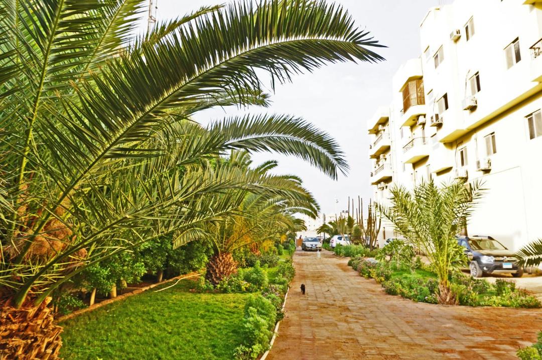 Photo of Others in Al Mamsha El Seyahi