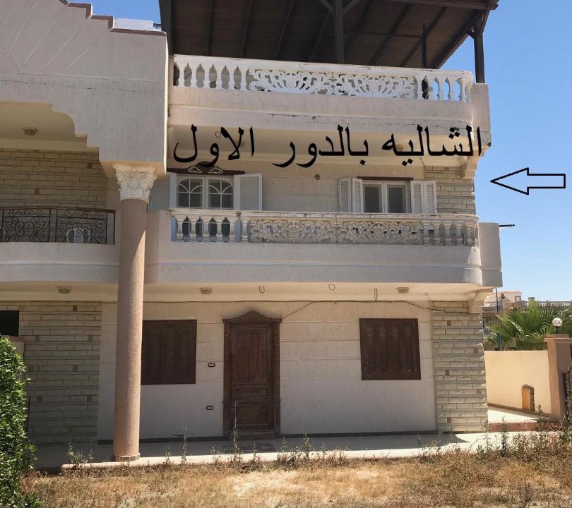 Photo of Others in Qetaa Maryout