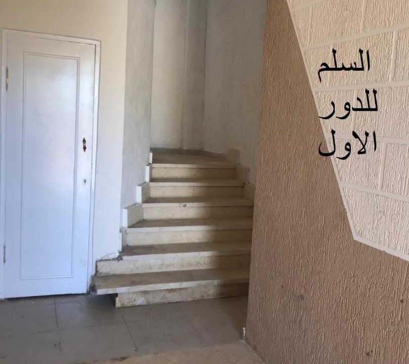 Photo of Others in Qetaa Maryout
