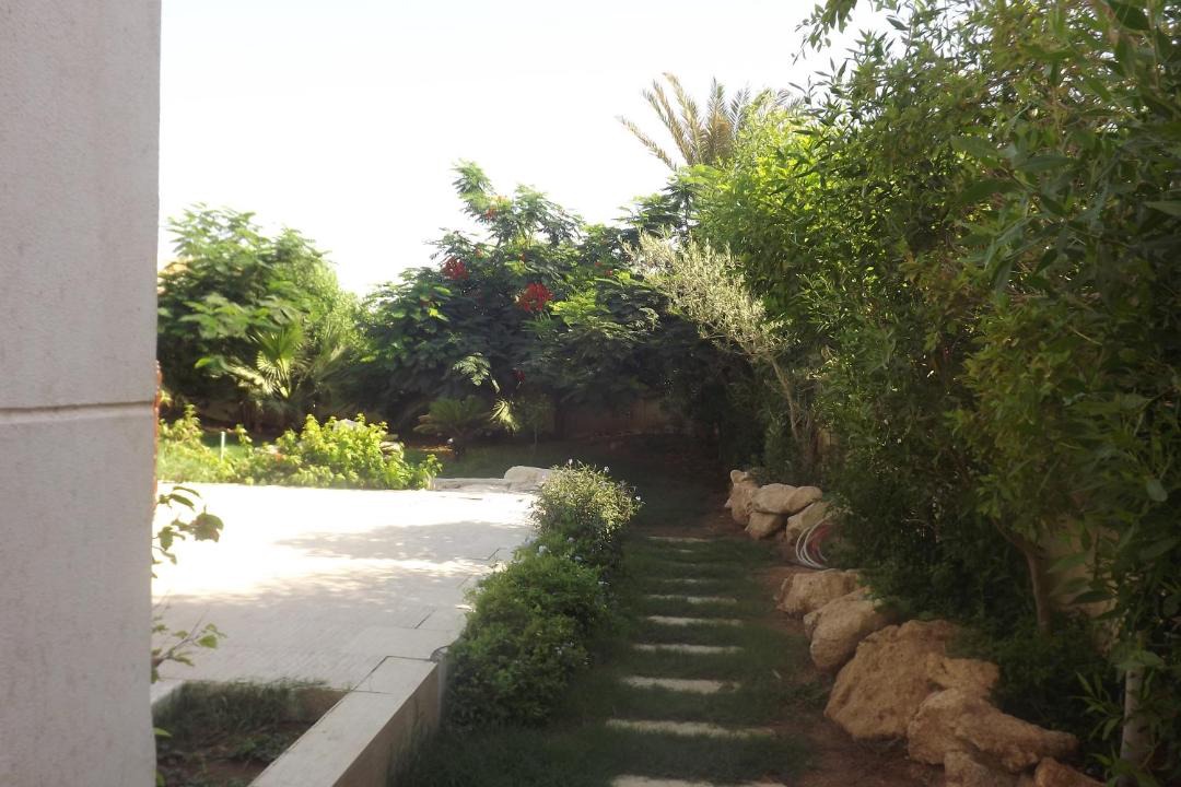 Photo of Others in Sharm El Sheikh