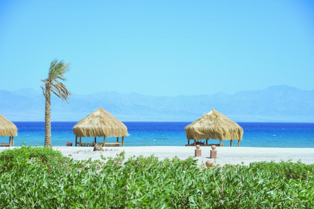 Photo of Others in Nuweiba