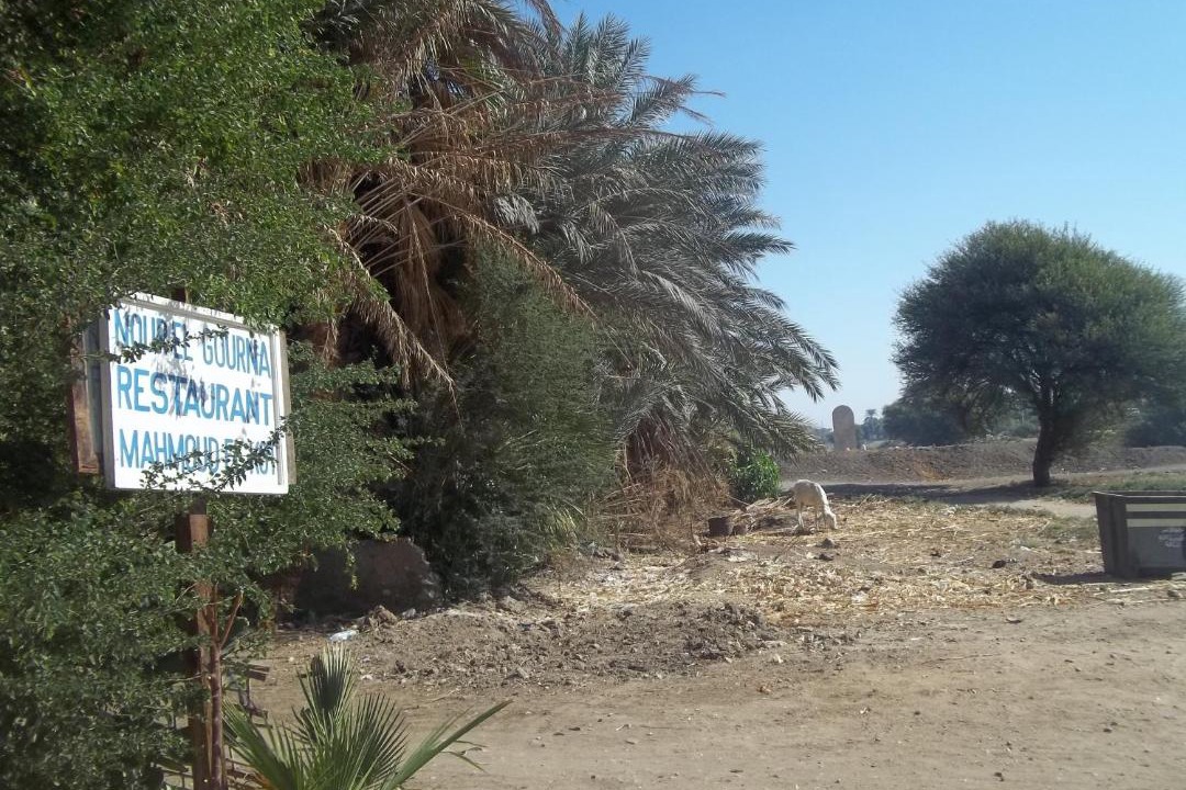 Photo of Others in Luxor