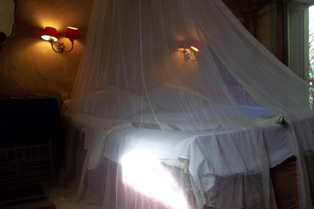 Photo of Others in Luxor