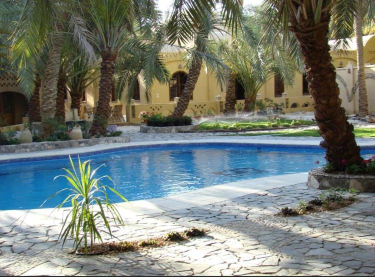 Photo of Outdoor in Siwa
