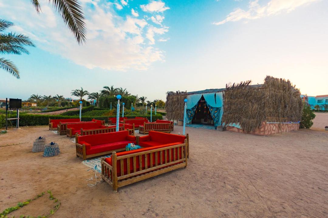 Photo of Others in Marsa Alam