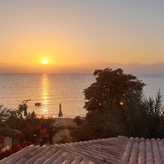 Photo of Others in Nuweiba