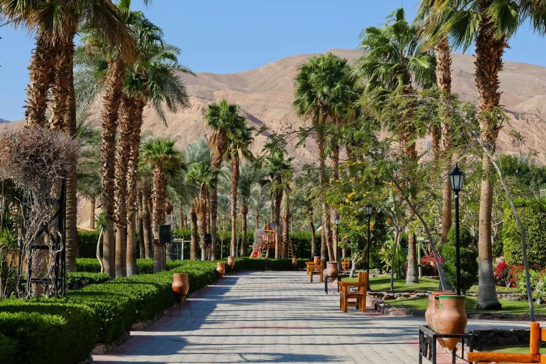 Photo of Others in Taba
