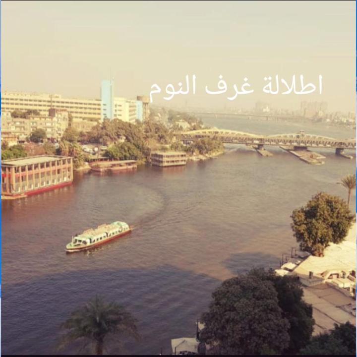 Photo of Others in Zamalek