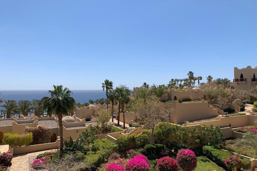 Photo of Others in Sharm El Sheikh