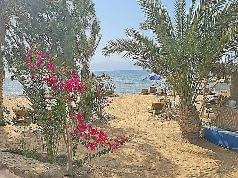 Photo of Others in Nuweiba