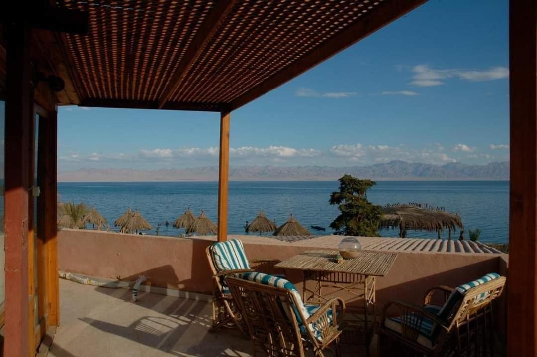 Photo of Others in Nuweiba