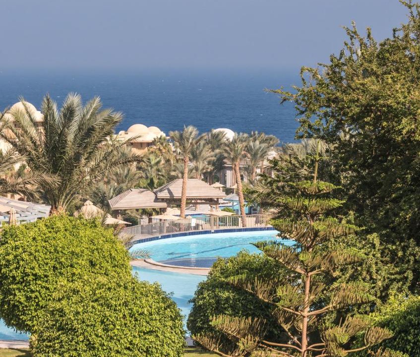 Photo of Others in Makadi Bay
