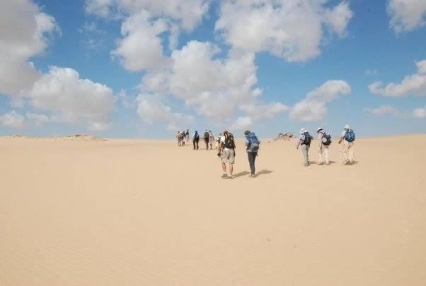 Photo of Others in Bawati