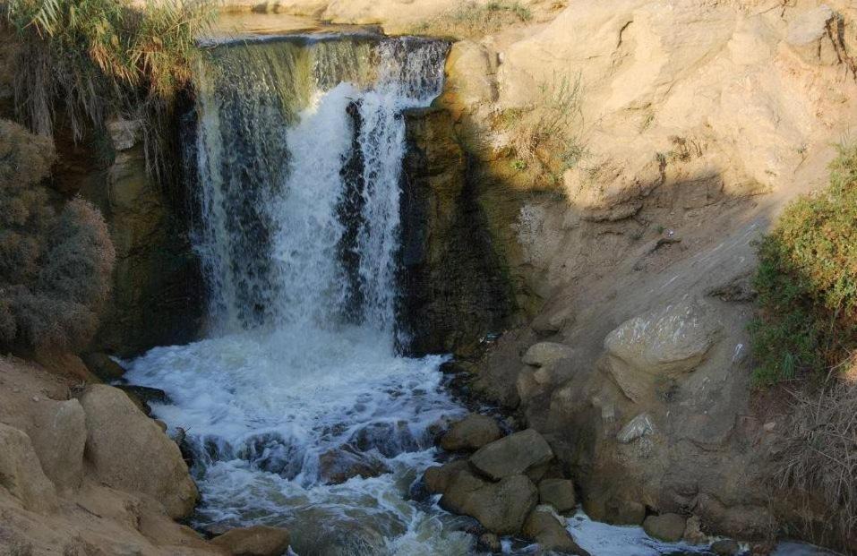 Photo of Others in Bawati