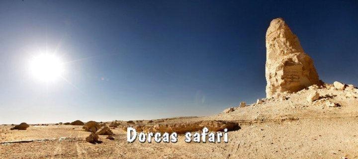 Photo of Others in Bawati