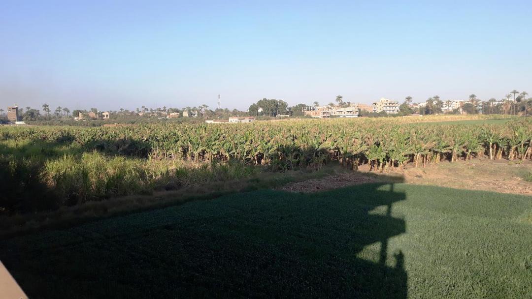 Photo of Others in Luxor