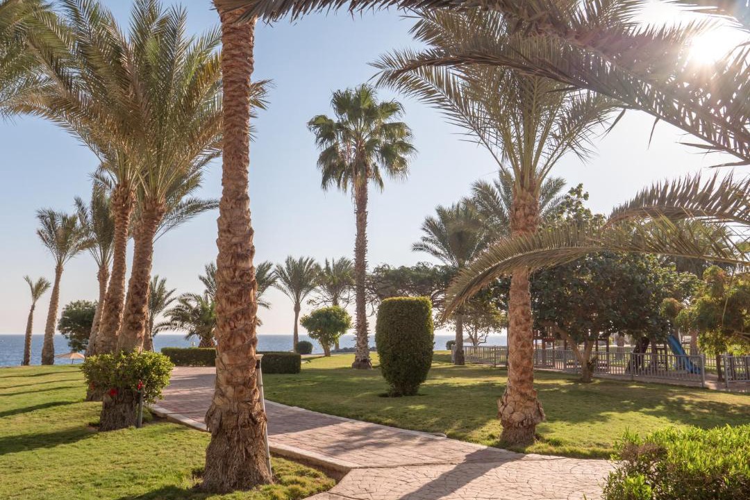 Photo of Others in Makadi Bay
