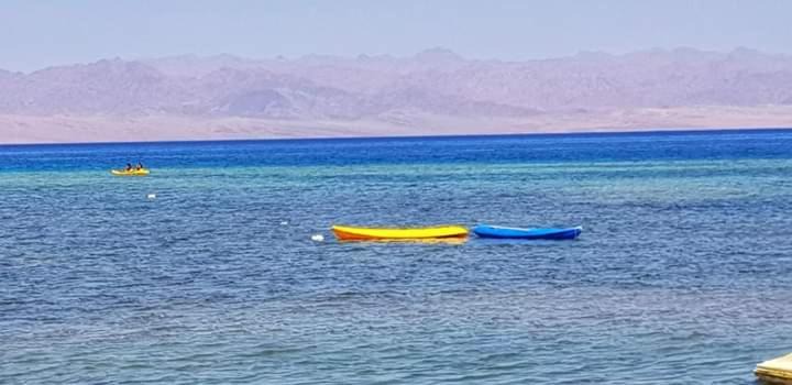 Photo of Others in Nuweiba